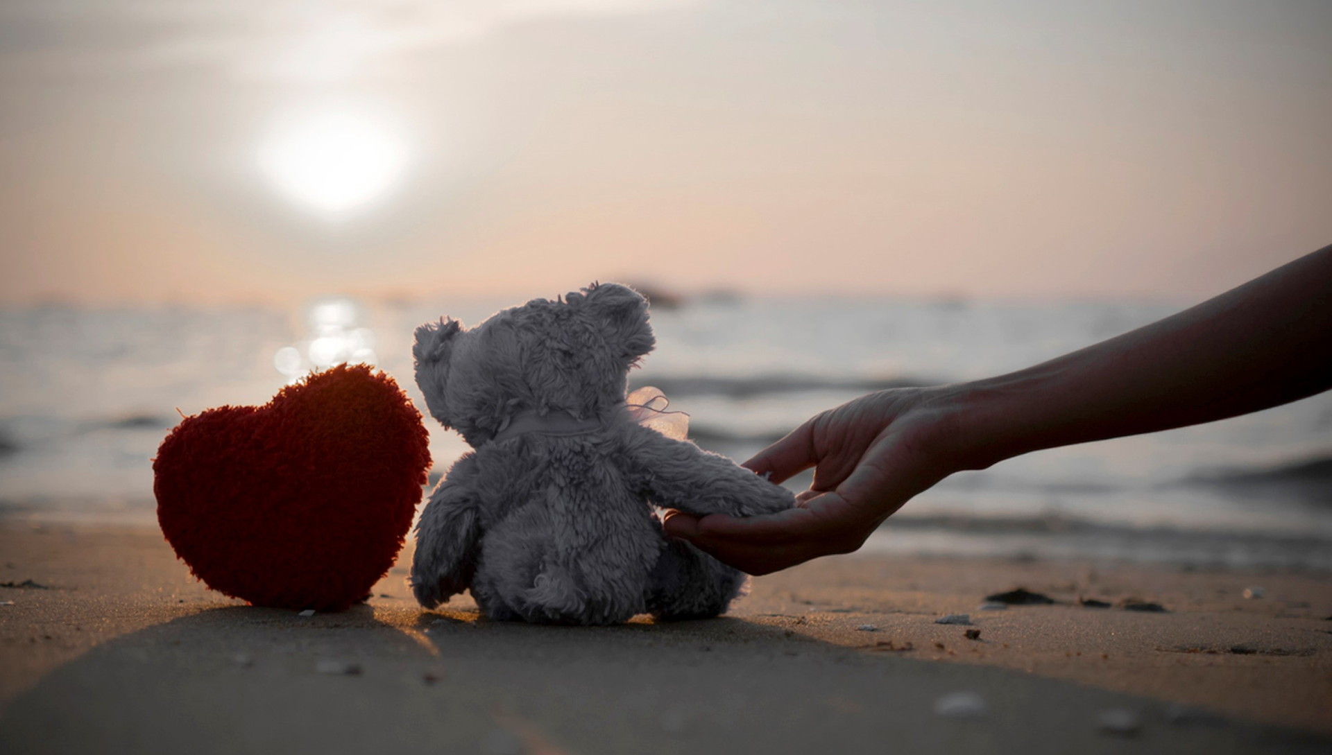 Ignatian 2024: Edition #7 Special Report-Trauma Recovery