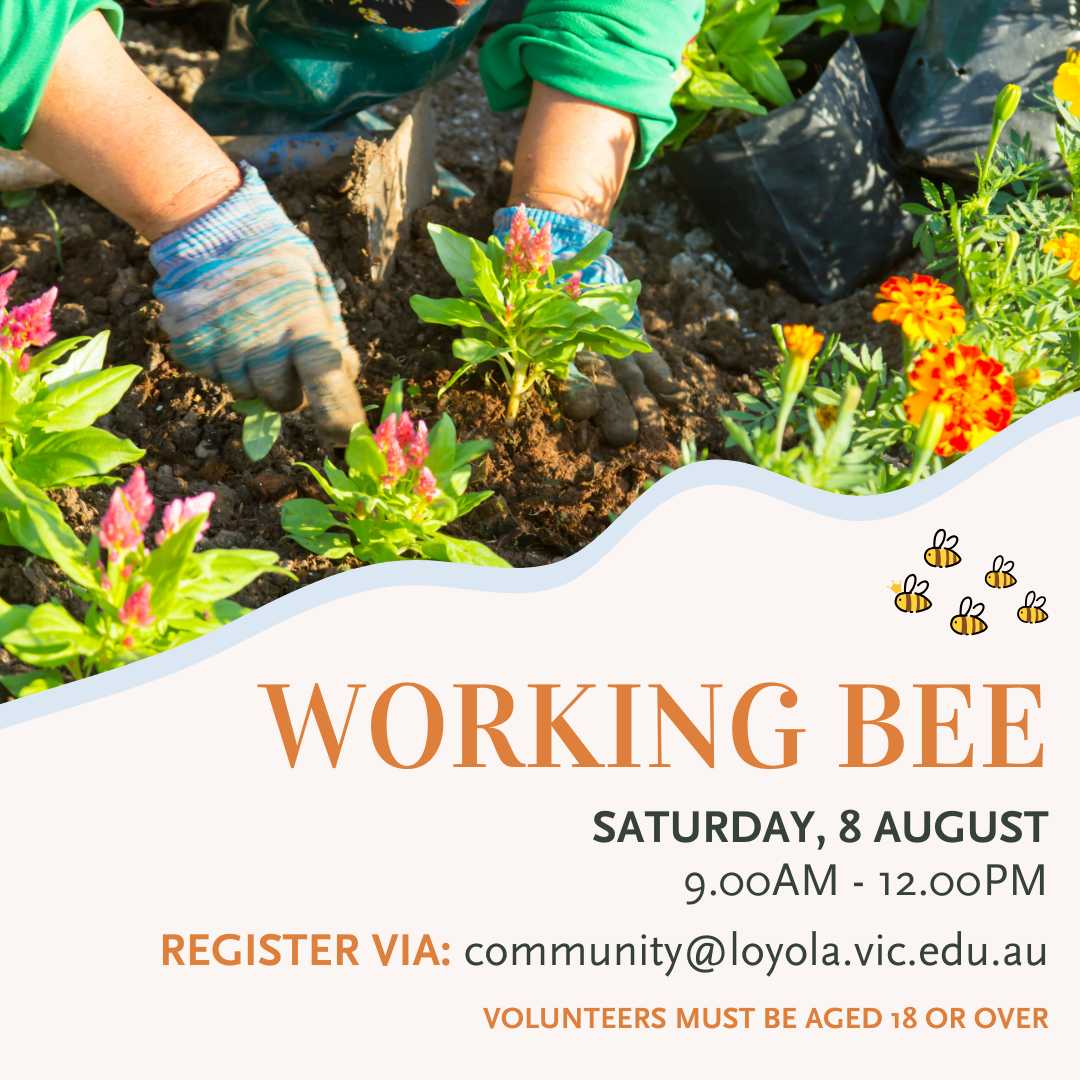 Working Bee 8 August